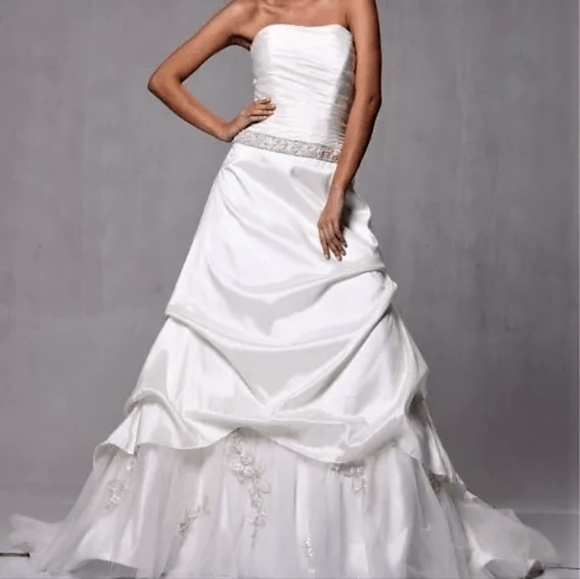 Elegant Cinderella Wedding Dress - Picture 4 of 4